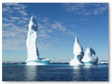 Iceberg